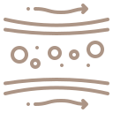circulacion sanguinea